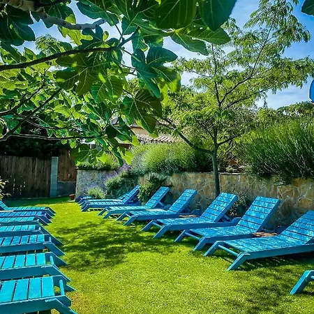 Wellness Fuerst Apartment Dunajska Luzna